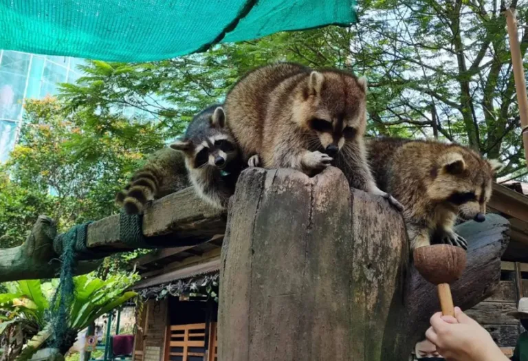 8 Tempat Lawatan Menarik di Malaysia untuk Murid Sekolah Rendah yang Penuh Ilmu & Seronok