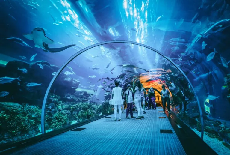 8 Tempat Lawatan Menarik di Malaysia untuk Murid Sekolah Rendah yang Penuh Ilmu & Seronok