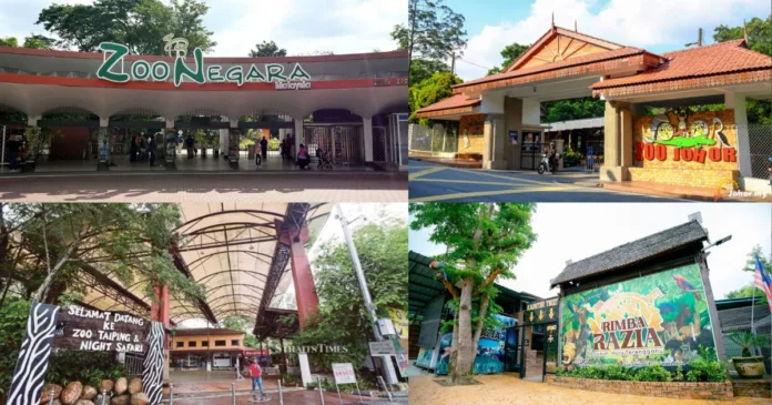 Untitled design - 2025-12-30T140707.438