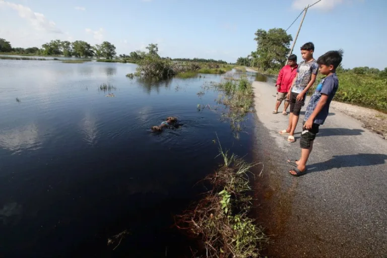 Abang 12 Tahun Lemas Cuba Selamatkan Adik Jatuh Parit!