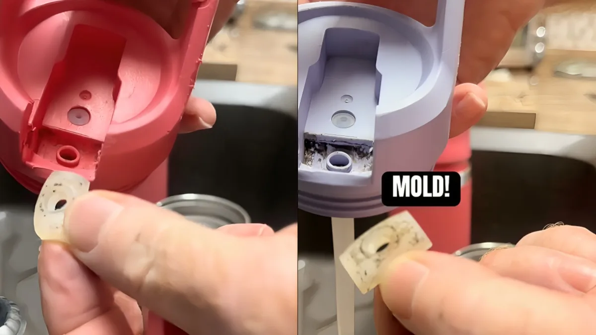 Biasakan Cuci Botol Air Setiap Hari, Banyak Kuman! 5 Biasakan Cuci Botol Air Setiap Hari, Banyak Kuman!